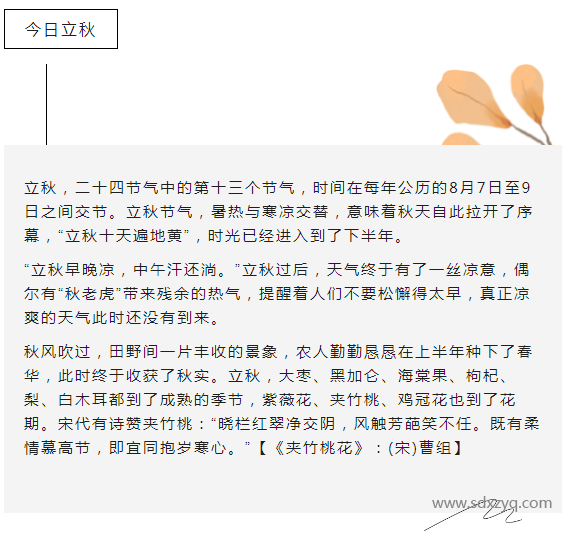 1723020911144737.png 立秋